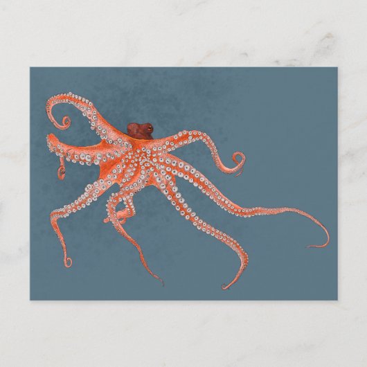 Octopus Hugs Briefkaart (Voorkant)
