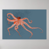 Octopus Hugs Poster (Voorkant)
