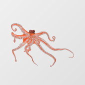 Octopus Hugs Raamsticker (Vel)