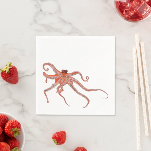 Octopus Hugs Servet (Insitu)