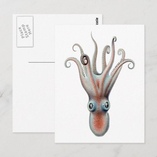 Octopus  Illustratie Briefkaart (Voorkant / Achterkant)