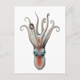 Octopus  Illustratie Briefkaart