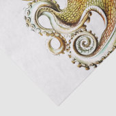 Octopus illustratie door Ernst Haeckel Tissuepapier (Detail)