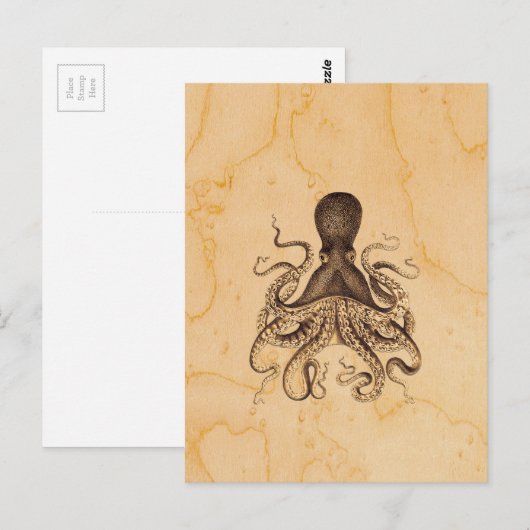 Octopus Illustratie in Browns Briefkaart (Voorkant / Achterkant)