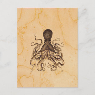  Octopus Illustratie in Browns Briefkaart