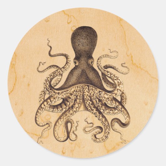  Octopus Illustratie in Bruins Ronde Sticker (Voorkant)