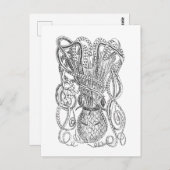  Octopus Illustratie in zwart-wit Briefkaart (Voorkant / Achterkant)