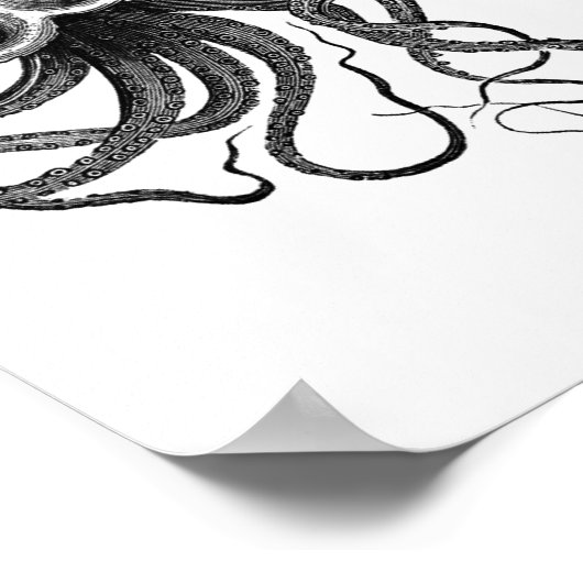 Octopus Illustratie Poster (Hoek)