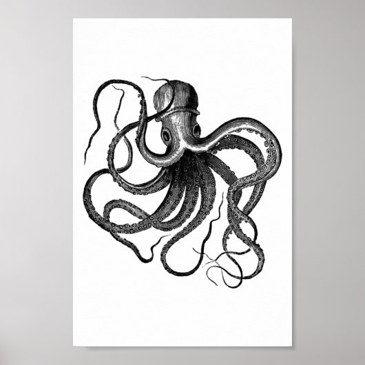  Octopus Illustratie Poster (Voorkant)