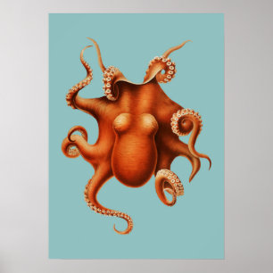 Octopus Illustratie Poster