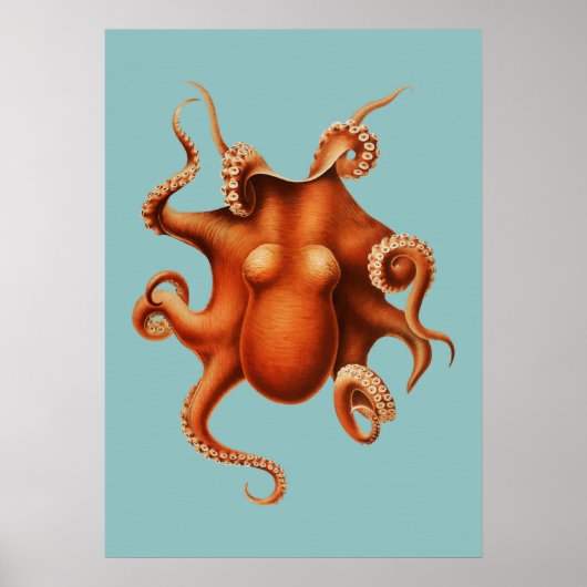 Octopus Illustratie Poster (Voorkant)