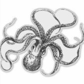  Octopus Illustratie Sticker (Voorkant)