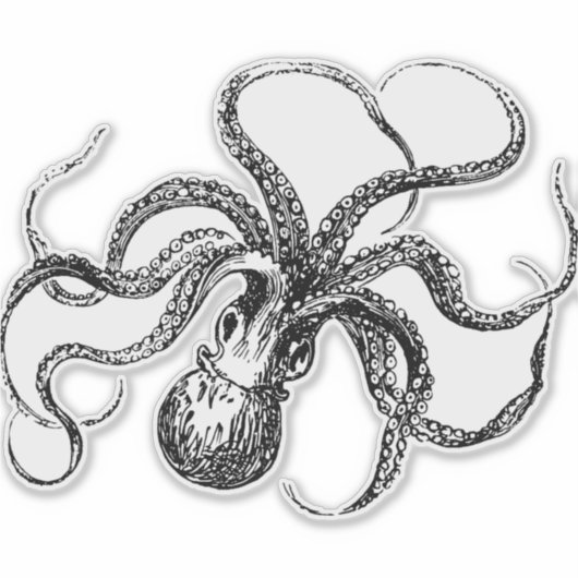  Octopus Illustratie Sticker (Voorkant)