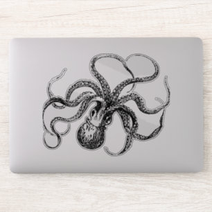 Octopus Illustratie Sticker