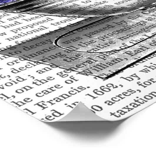 Octopus in Bath Poster (Hoek)