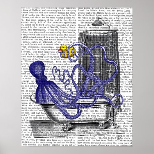 Octopus in Bath Poster (Voorkant)