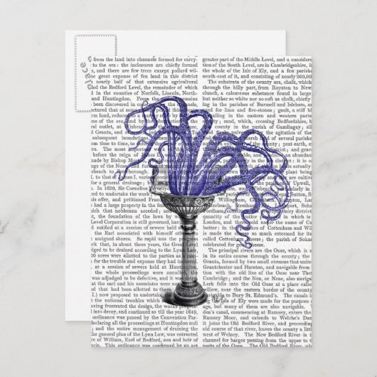 Octopus in de gootsteen briefkaart (Voorkant / Achterkant)