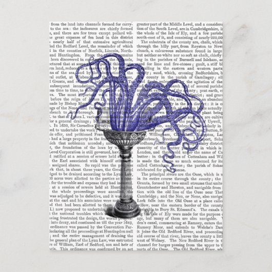 Octopus in de gootsteen briefkaart (Voorkant)