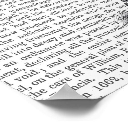 Octopus in de gootsteen poster (Hoek)