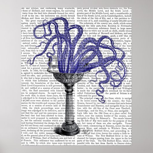 Octopus in de gootsteen poster (Voorkant)