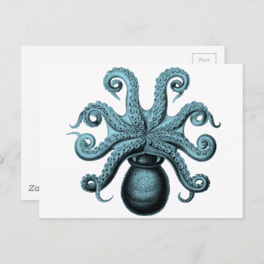 Octopus in het Blauwgroen Briefkaart (Voorkant / Achterkant)