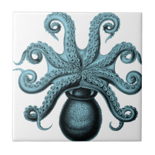 Octopus in het Blauwgroen Tegeltje