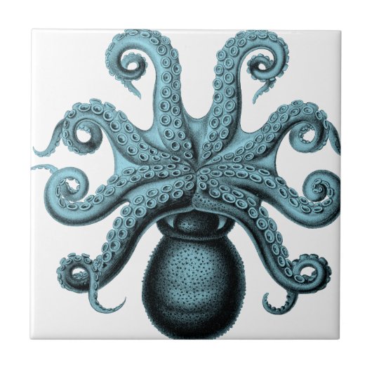 Octopus in het Blauwgroen Tegeltje (Voorkant)