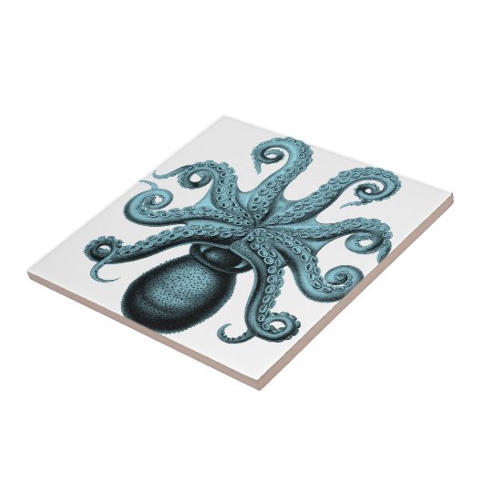 Octopus in het Blauwgroen Tegeltje (Zijkant)