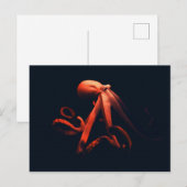 Octopus in schaduwen briefkaart (Voorkant / Achterkant)