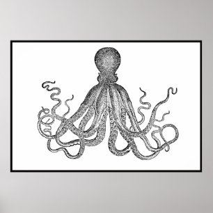  octopus in wit en zwart Poster