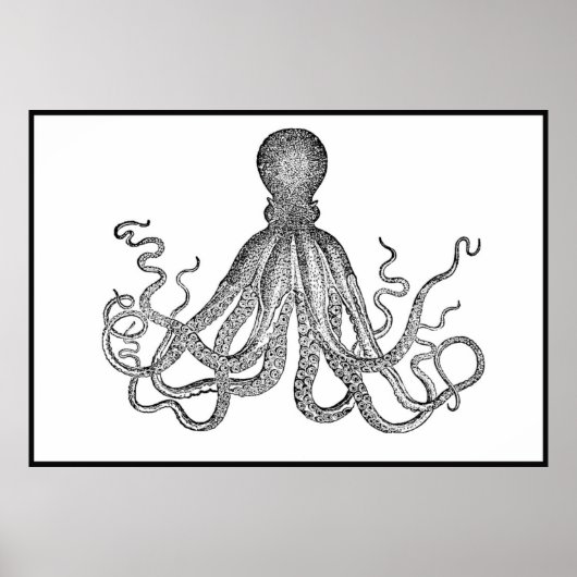  octopus in wit en zwart Poster (Voorkant)