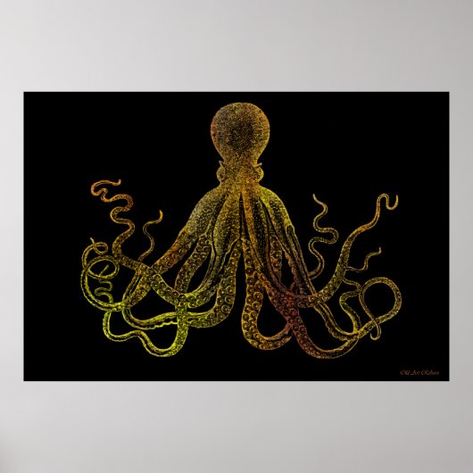  octopus in zwart-wit en goud poster (Voorkant)