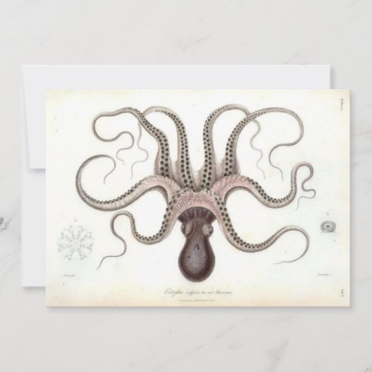  Octopus Invite Kaart (Voorkant)