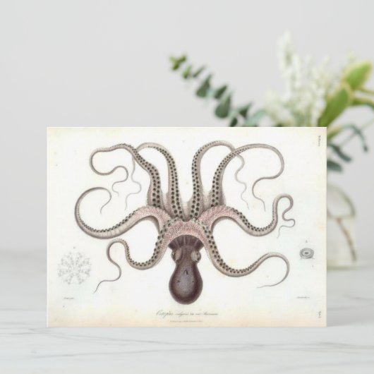  Octopus Invite Kaart (Staand voorkant)