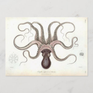 Octopus Invite Kaart