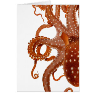 octopus-kaart