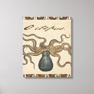Octopus Kraken Antiek Kust Mariene Wilde Dieren Canvas Afdruk