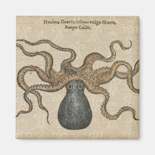 Octopus Kraken Antiek Kust Mariene Wilde Dieren Magneet