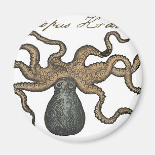 Octopus Kraken Antiek Kust Mariene Wilde Dieren Magneet