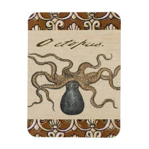 Octopus Kraken Antiek Kust Mariene Wilde Dieren Magneet