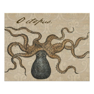 Octopus Kraken Antiek Kust Mariene Wilde Dieren Poster