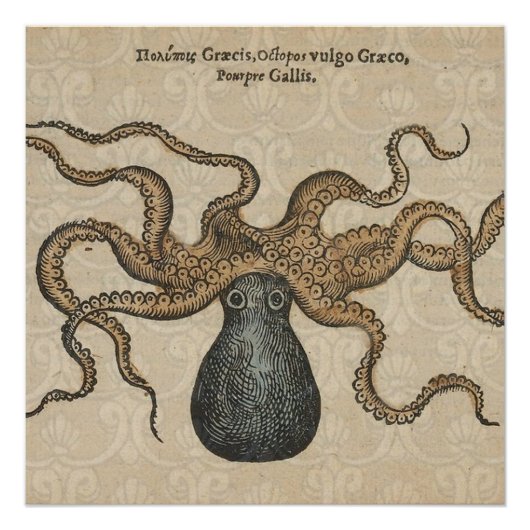 Octopus Kraken Antiek Kust Mariene Wilde Dieren Poster (Voorkant)