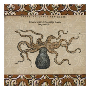 Octopus Kraken Antiek Kust Mariene Wilde Dieren Poster