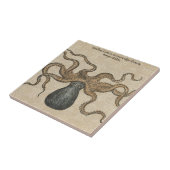 Octopus Kraken Antiek Kust Mariene Wilde Dieren Tegeltje (Zijkant)