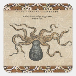 Octopus Kraken Antiek Kust Mariene Wilde Dieren Vierkante Sticker