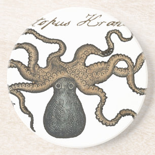 Octopus Kraken Antiek Kust Mariene Wilde Dieren Zandsteen Onderzetter