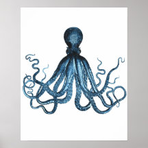 Octopus kraken oceanische zee kust zeekust