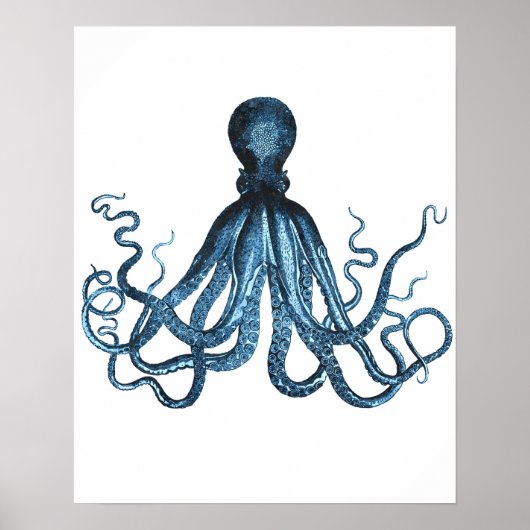 Octopus kraken oceanische zee kust zeekust poster (Voorkant)