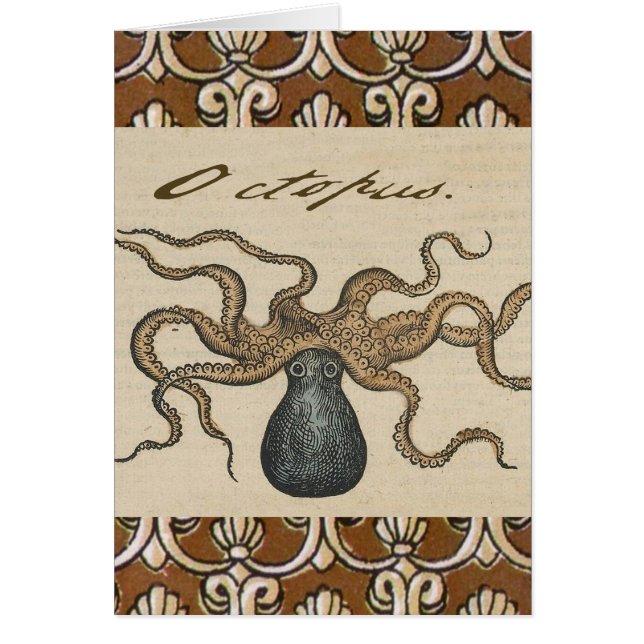Octopus Kraken Vintage Illustratie (Voorkant)