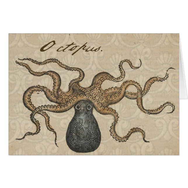 Octopus Kraken Vintage Illustratie (Voorkant Horizontaal)